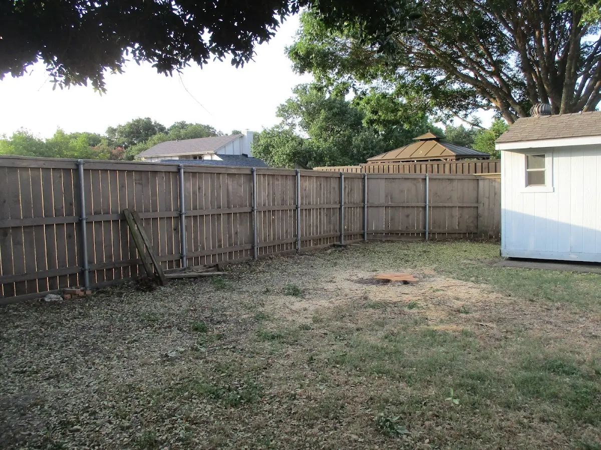 Cleared yard after professional tree removal in Fort Gay