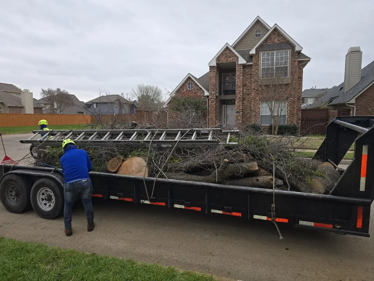Expert Tree Removal with proper safety equipment in Fort Gay